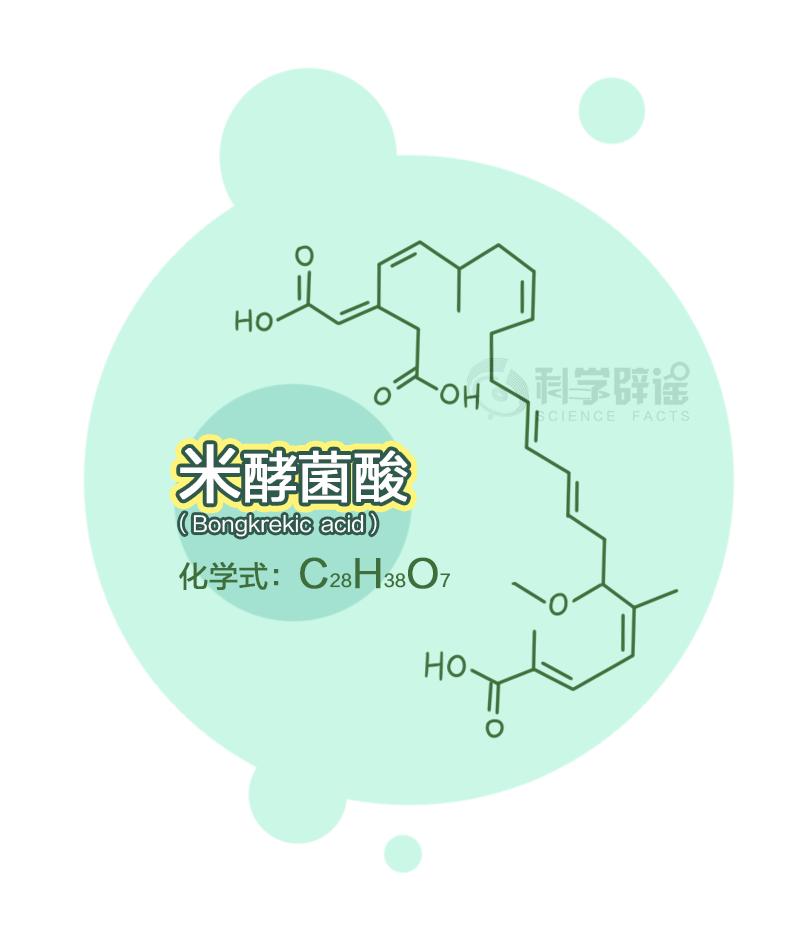 【科学辟谣】泡发食物很危险,都会引起米酵菌酸中毒?