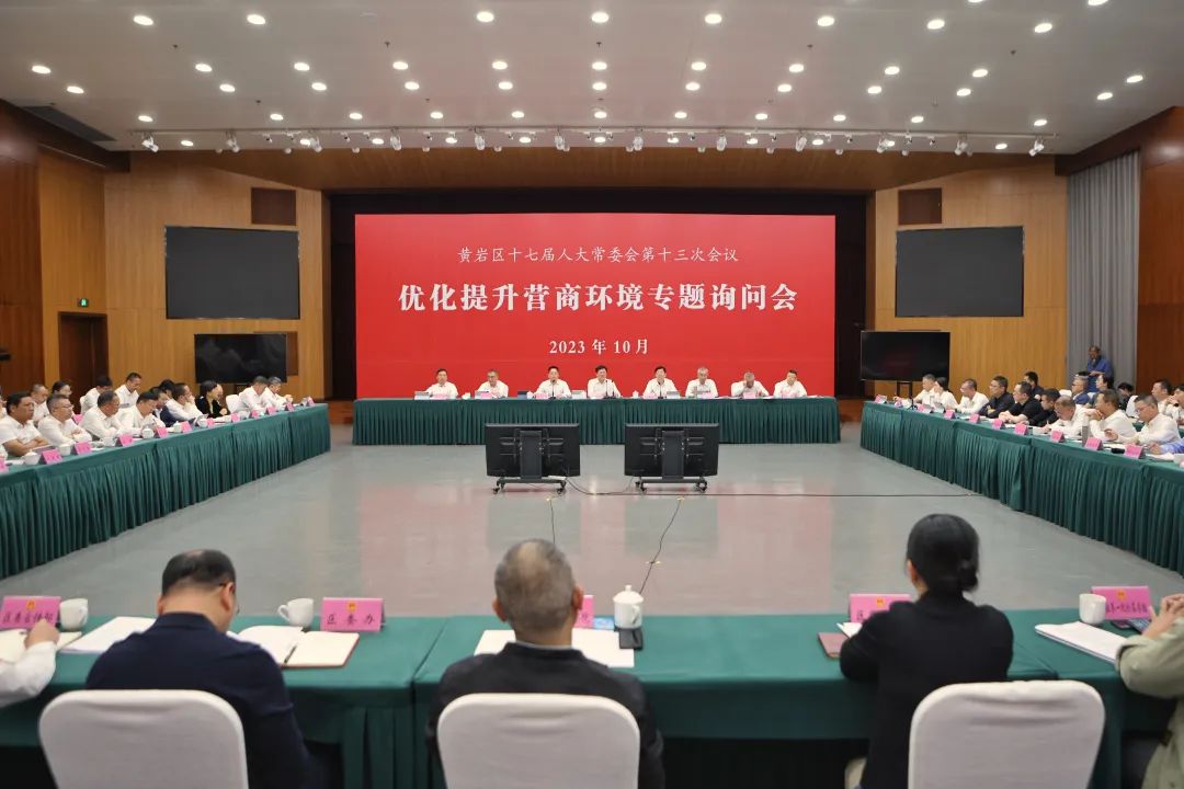 我区举行优化提升营商环境专题询问会