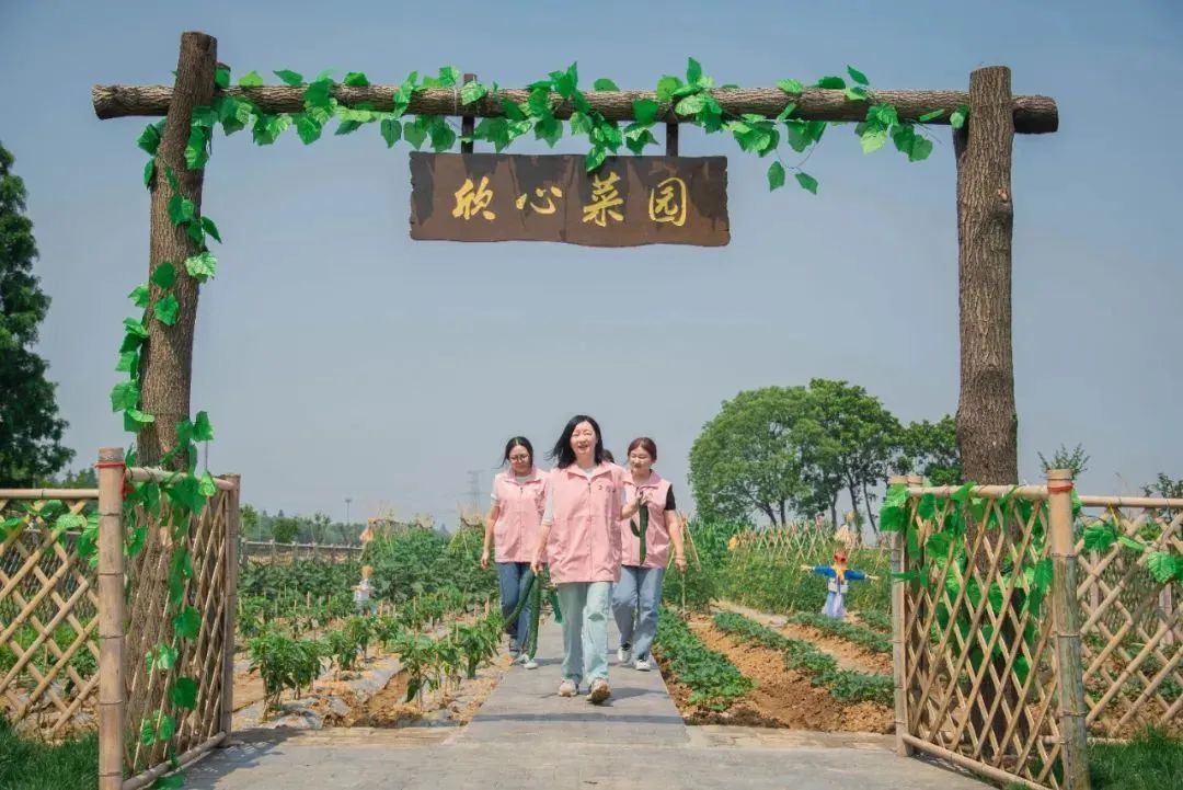 无锡市惠山区玉祁街道蓉湖村:"共享菜园"里的巾帼情_澎湃号·政务