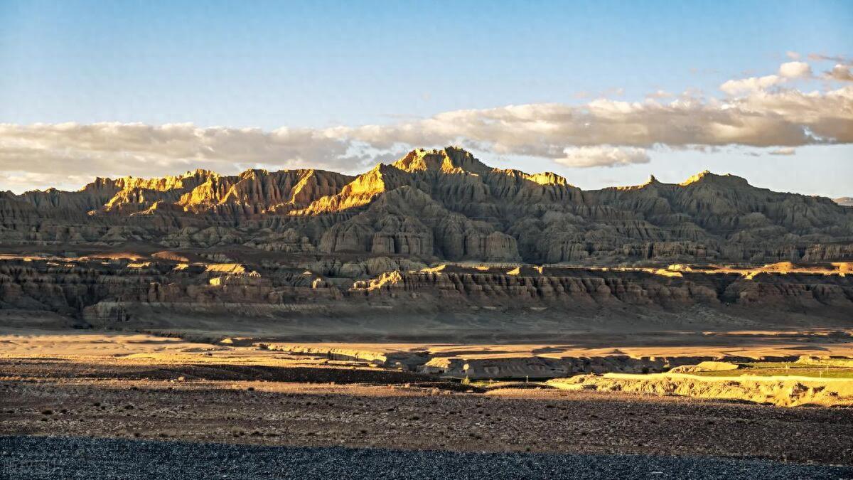 阿里地区札达县波林村:绿树如墙立 早晚见成林_澎湃号·政务_澎湃新闻