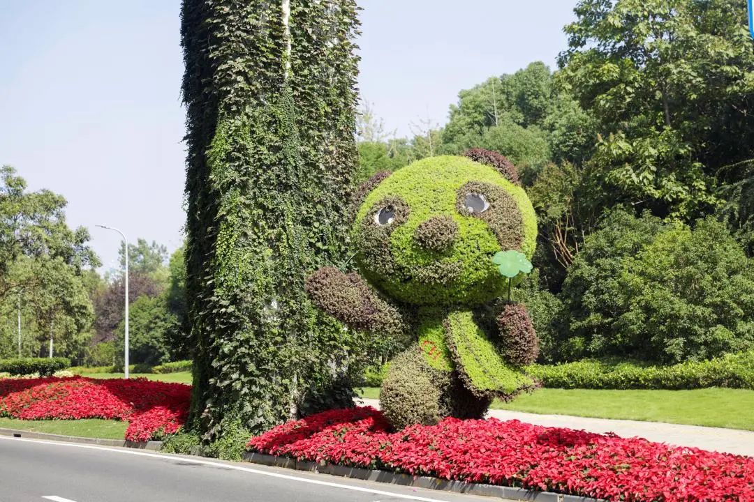 进口博览会开幕在即,五彩斑斓的美景已绽放在道路,主题景点,花坛花境