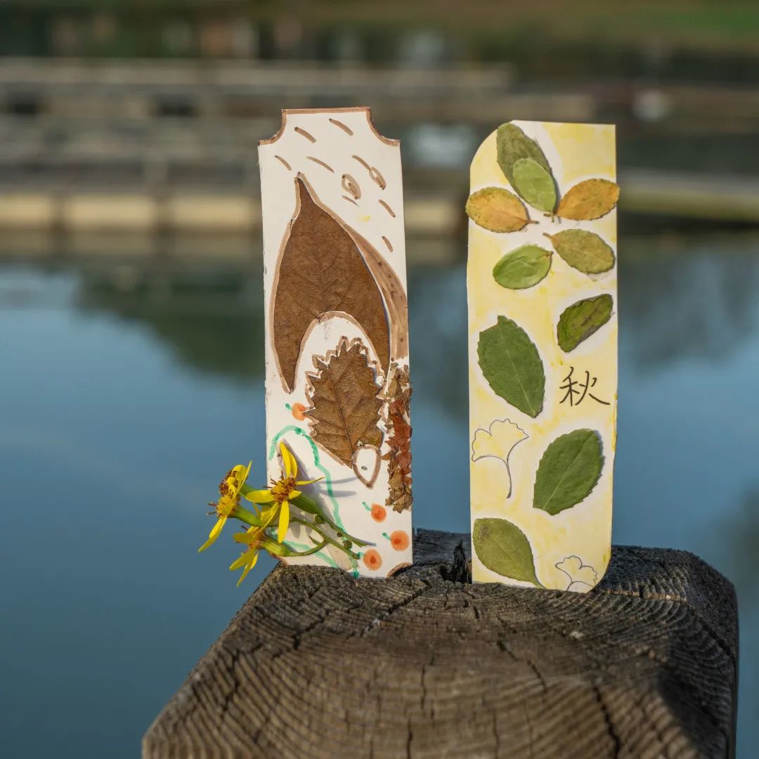 地相逢带着图书与书签，在湖旁静静阅读黄花与落叶交织，秋景与书魂重逢