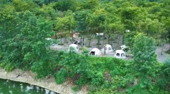 崇州新增一处森林河景露营地