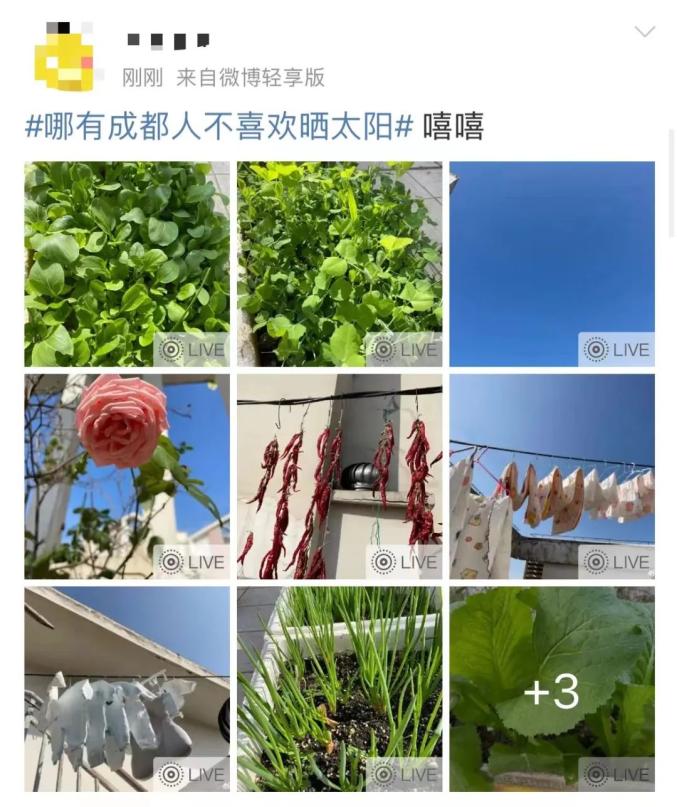 热到穿短袖！且晒且珍惜，成都新一轮降温降雨要来了_澎湃号·政务_澎湃新闻-The Paper