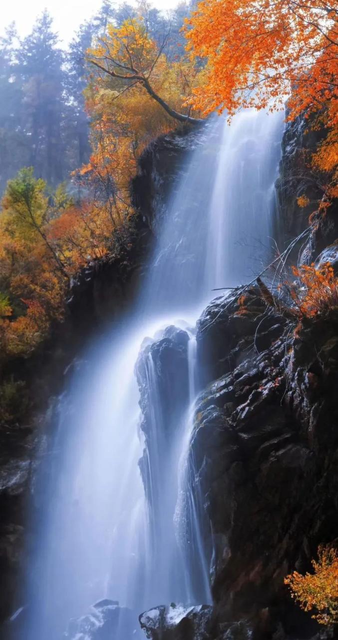 这一波官鹅沟秋景!错过就要再等一年