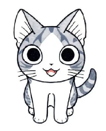 饲养者的宠物诊疗维权指南