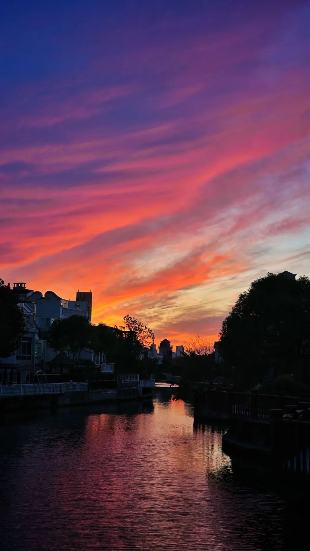 今天奉贤的你看到"火烧云"了吗?