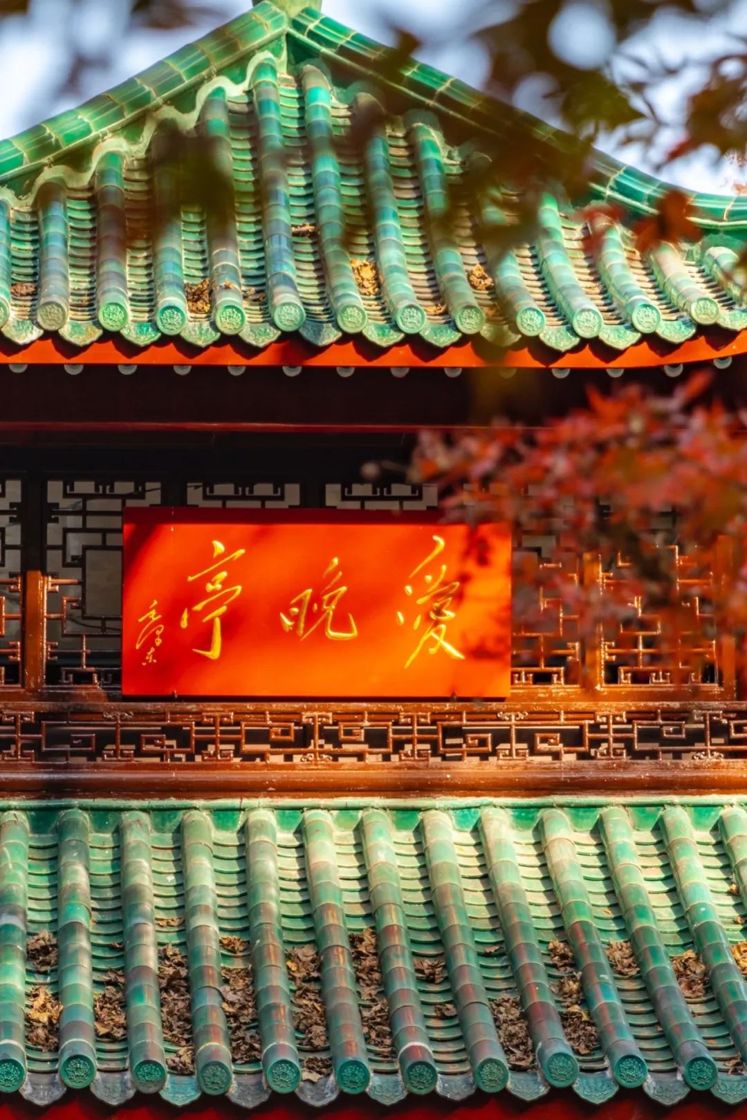 中国有自己的“红叶季”,江南夜枫、山溪飘红、古村晚秋......绝美!_澎湃号·湃客_澎湃新闻-The Paper