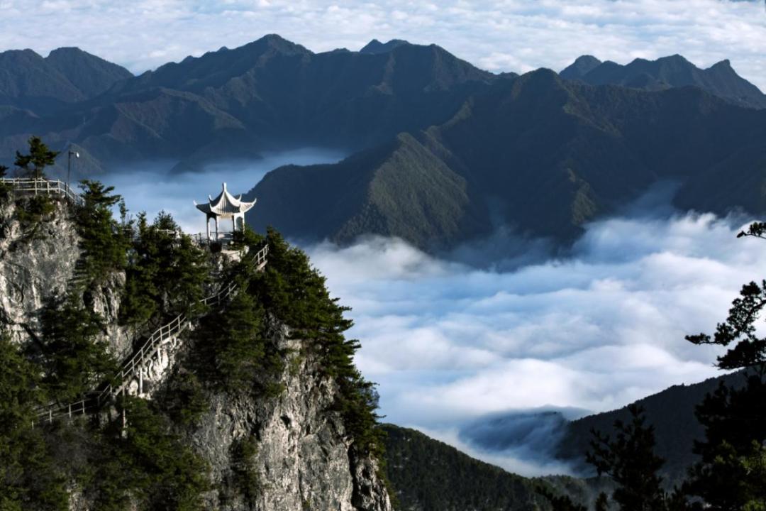 绿色发展示范案例丨商洛:山阳县擦亮生态文明建设"名片"