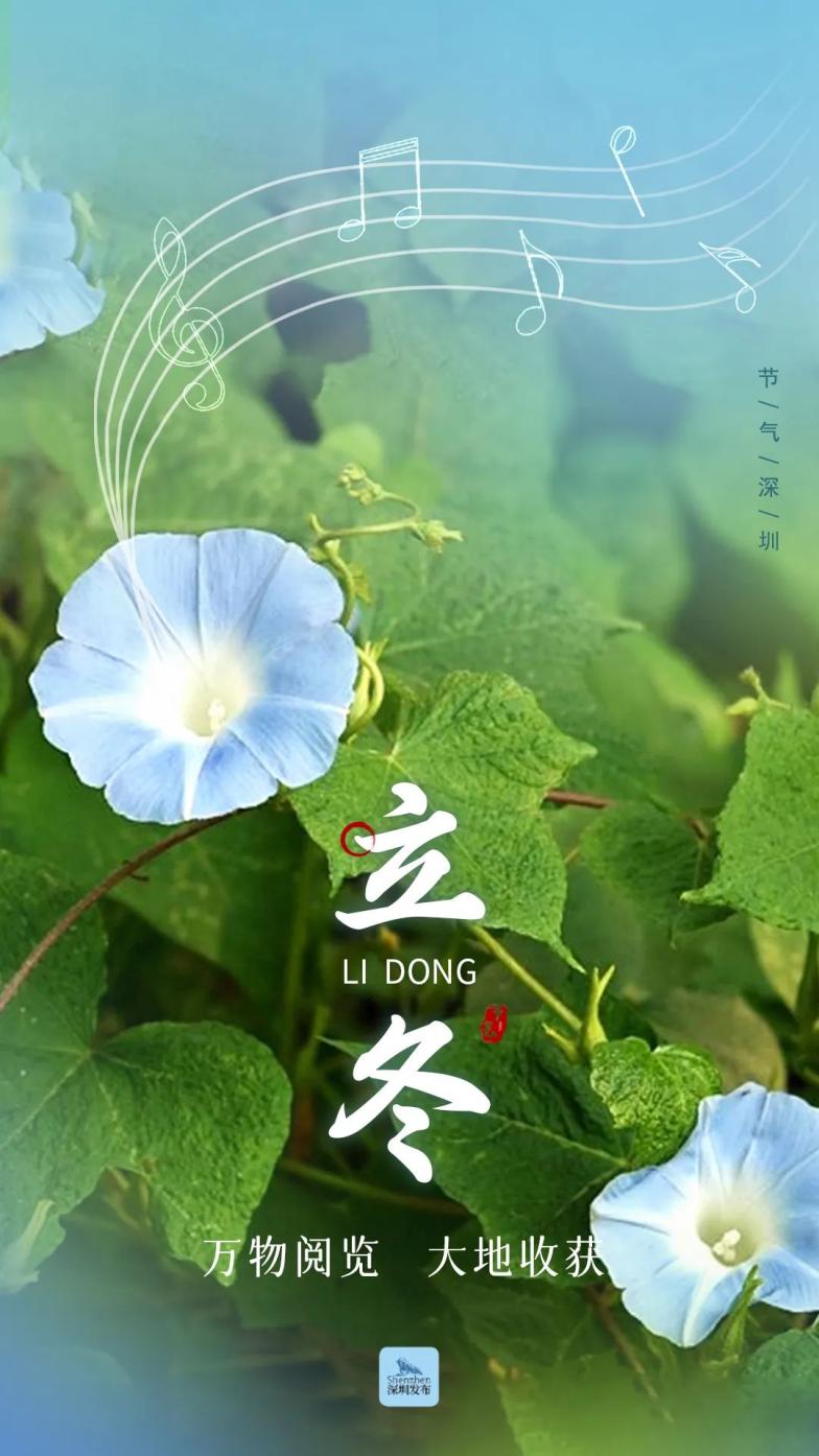 立冬|听,植物诗人在唱歌_澎湃号·政务_澎湃新闻-the paper