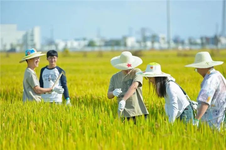 海宁这场青年人才联谊活动太有趣!_澎湃号·政务_澎湃新闻-the paper