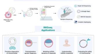 Life Med | 李墨建立新測序技術揭示單細胞中隱藏的線粒體基因突變