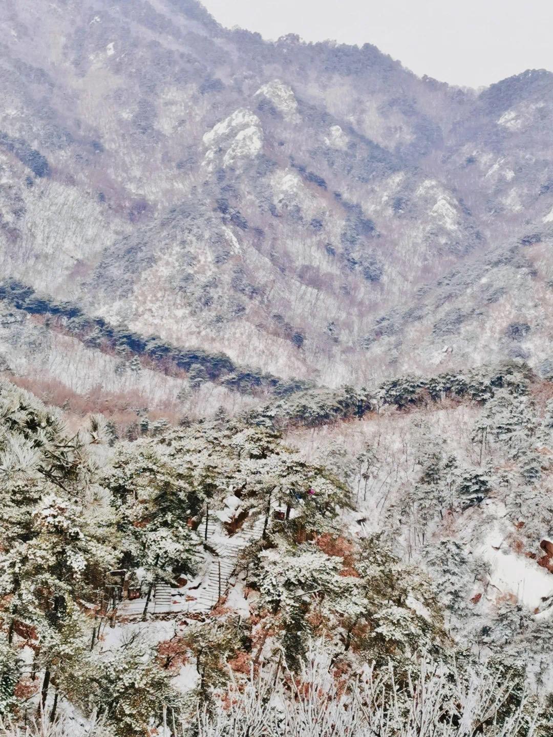 鞍山下雪图片图片