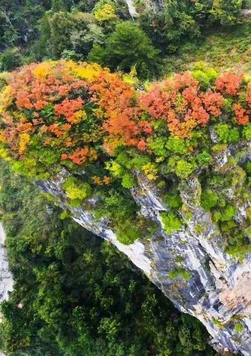 如枫叶,自由,独自美丽恩施的秋有一种遗世独立的洒脱如罗兰的秋颂描绘