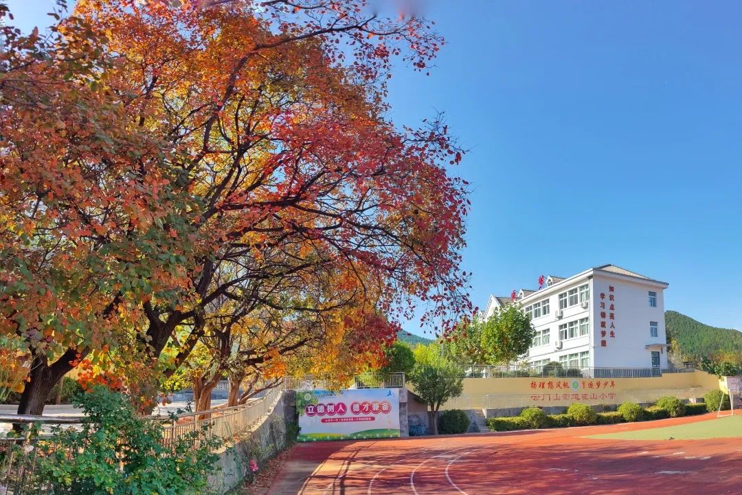 青州市云门山街道驼山小学▲青州市东城幼儿园▲安丘市红军小学