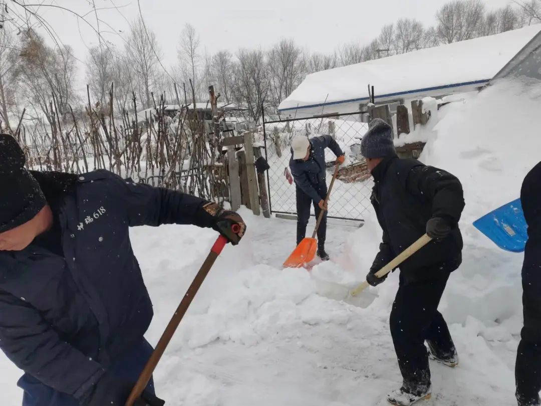 太保镇开展"雪后显文明,清雪我先行"活动_澎湃号·政务_澎湃新闻-the
