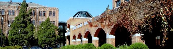 怎么检测手机螺旋仪涡旋光在大学物理实验教学中的探究_https://www.jmylbn.com_新闻资讯_第4张