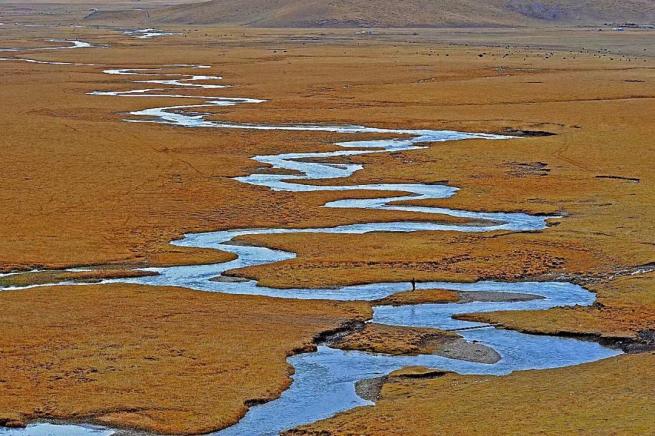 黄河生态行走进青海丨共筑共建打造黄河源头美丽生态