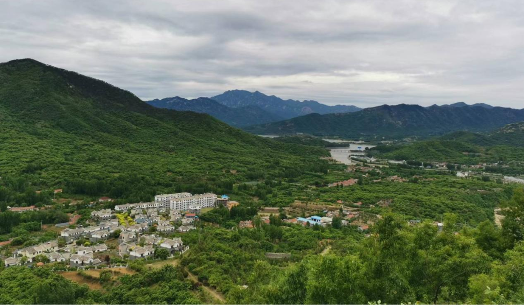 泰安下港镇旅游景点图片