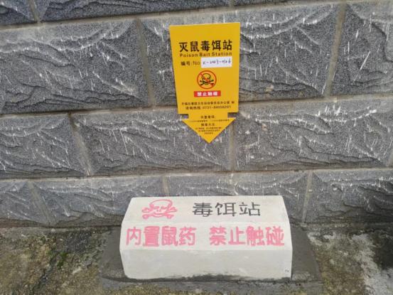 开福创卫进行时丨防治"四害" 开福区布放"灭鼠毒饵站"_澎湃号·政务