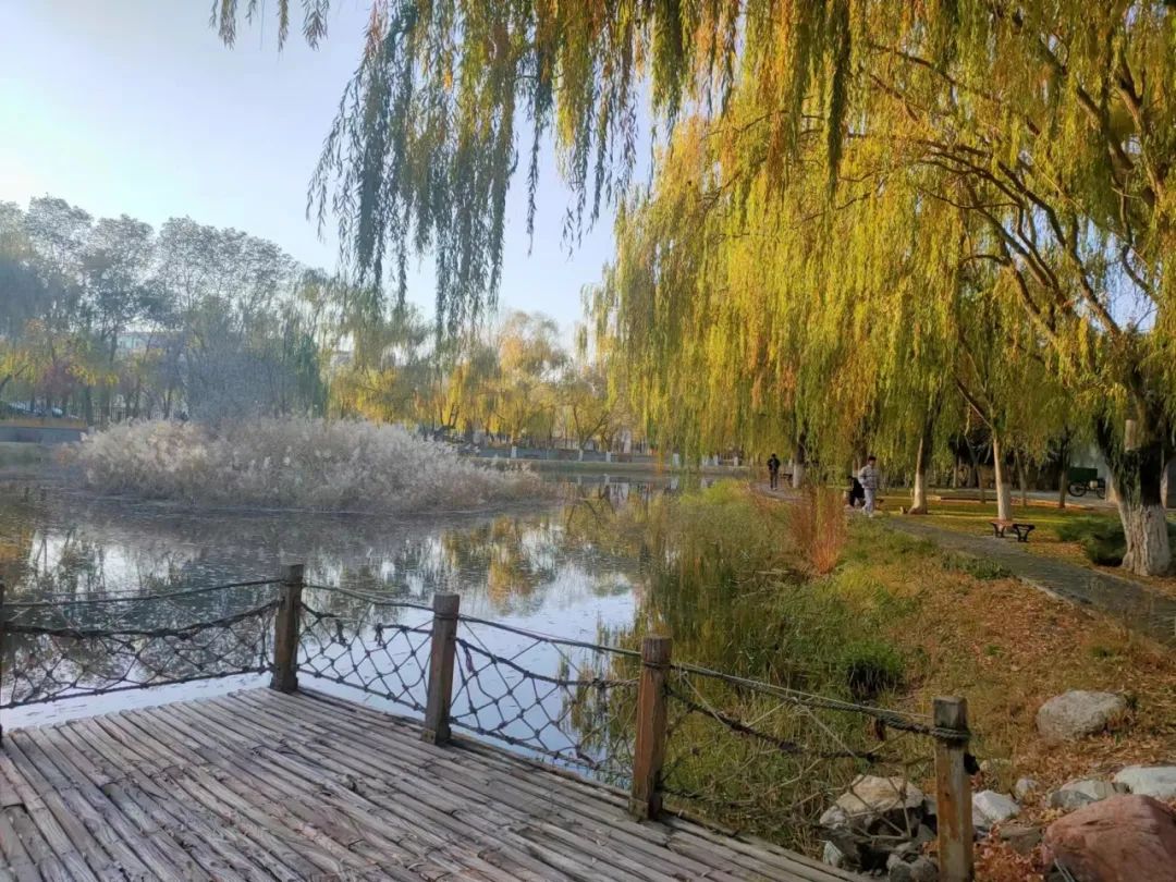 【金昌】初冬的一抹色彩——金川公园_澎湃号·媒体_澎湃新闻-the