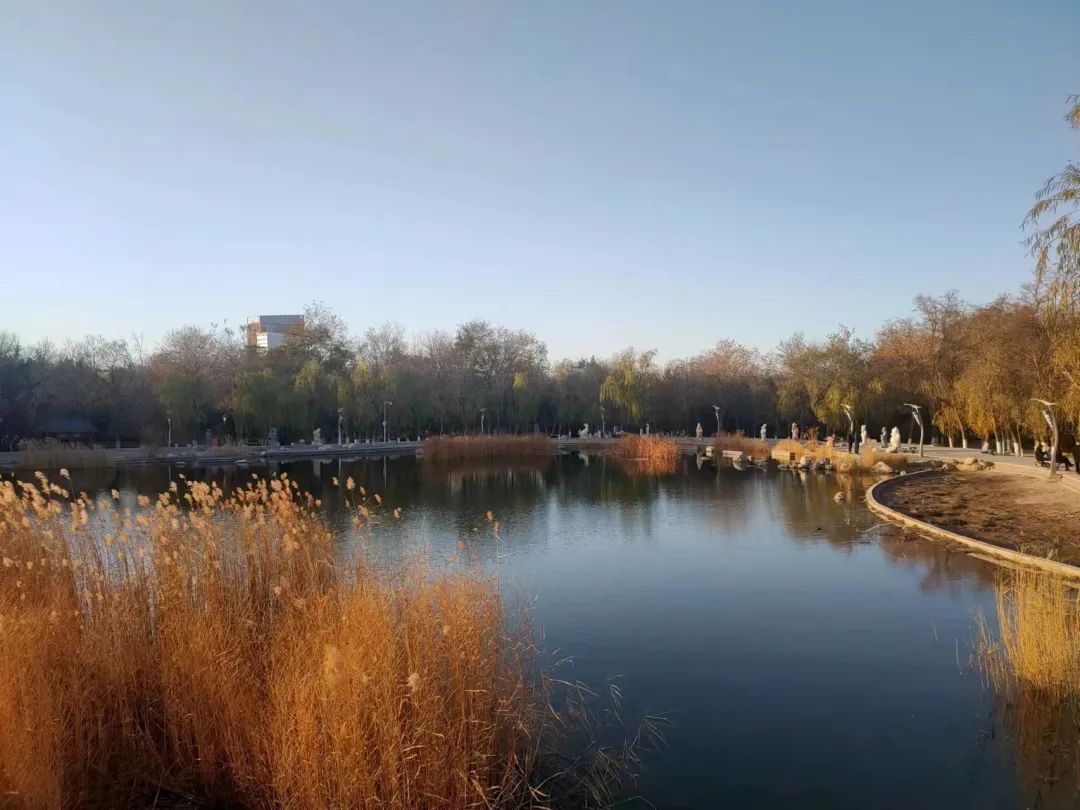 【金昌】初冬的一抹色彩——金川公园_澎湃号·媒体_澎湃新闻-the