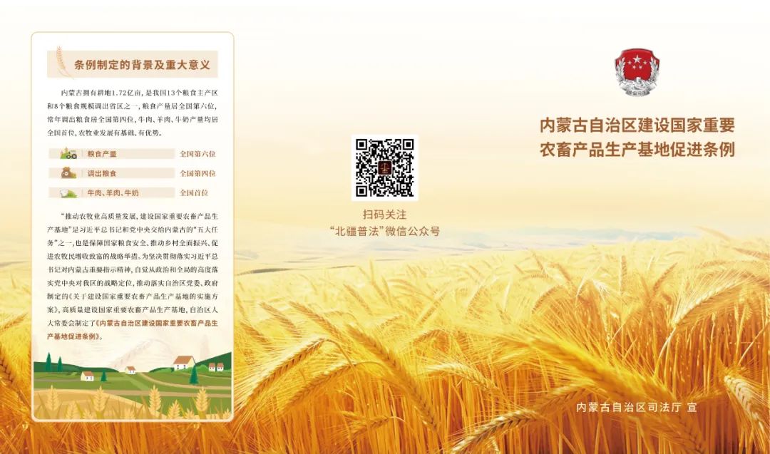 六部促进条例宣传折页来了丨等你下载使用！_澎湃号·政务_澎湃新闻-The Paper