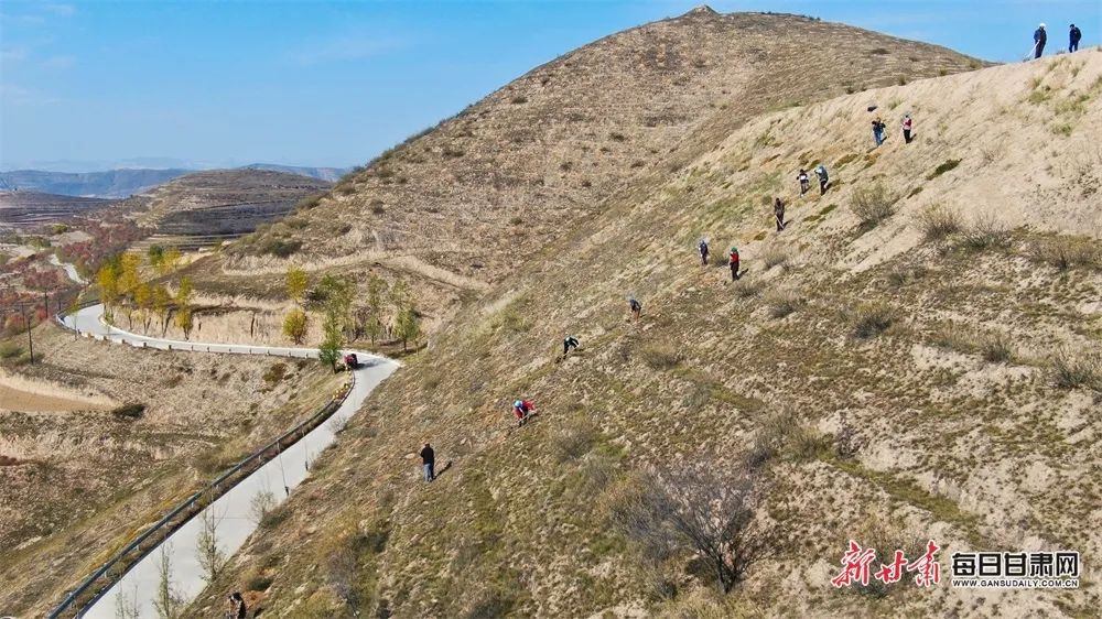 11月9日,在通渭县平襄镇亢川村,什川镇漆麻村生态保护修复和水土流失