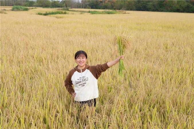 90后"新农人"领跑乡村振兴路