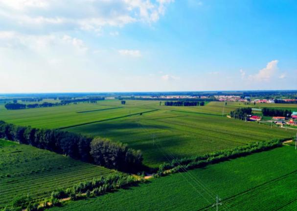 文明村镇开鲁县东风镇东方红村培育文明乡风建设美好家园