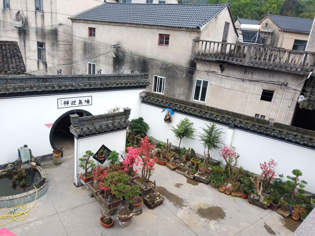 绩溪县华阳镇以美丽庭院焕新乡村振兴