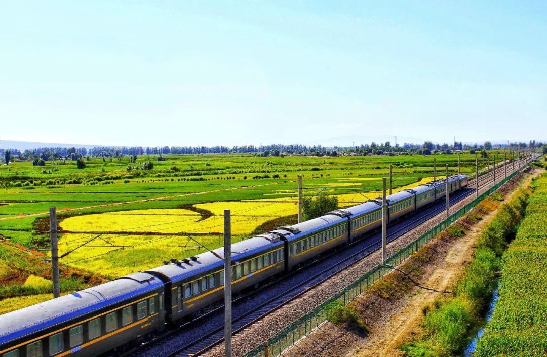 铁道风景线钢铁大动脉与稻田同框