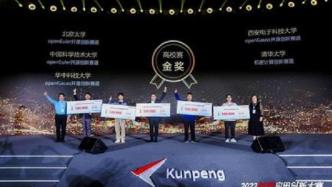 深度解讀：基于openGauss安全的差分隱私醫(yī)療診斷輔助查詢系統(tǒng)斬獲金獎背后的故事