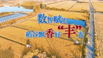 數智賦能，稻谷飄香好“豐”光，“豐”景如畫的背后有一顆智慧“心”