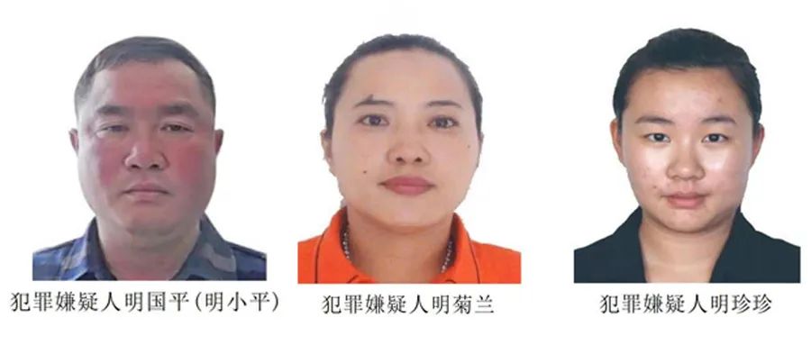 电诈头目明国平、明菊兰、明珍珍被缉拿归案!明学昌畏罪自杀