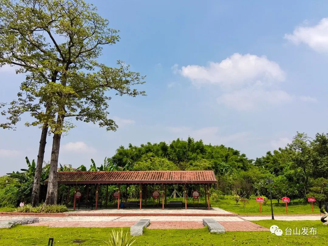 作为台山城区的"后花园",四九镇在台山市创建县级国家森林城市过程中