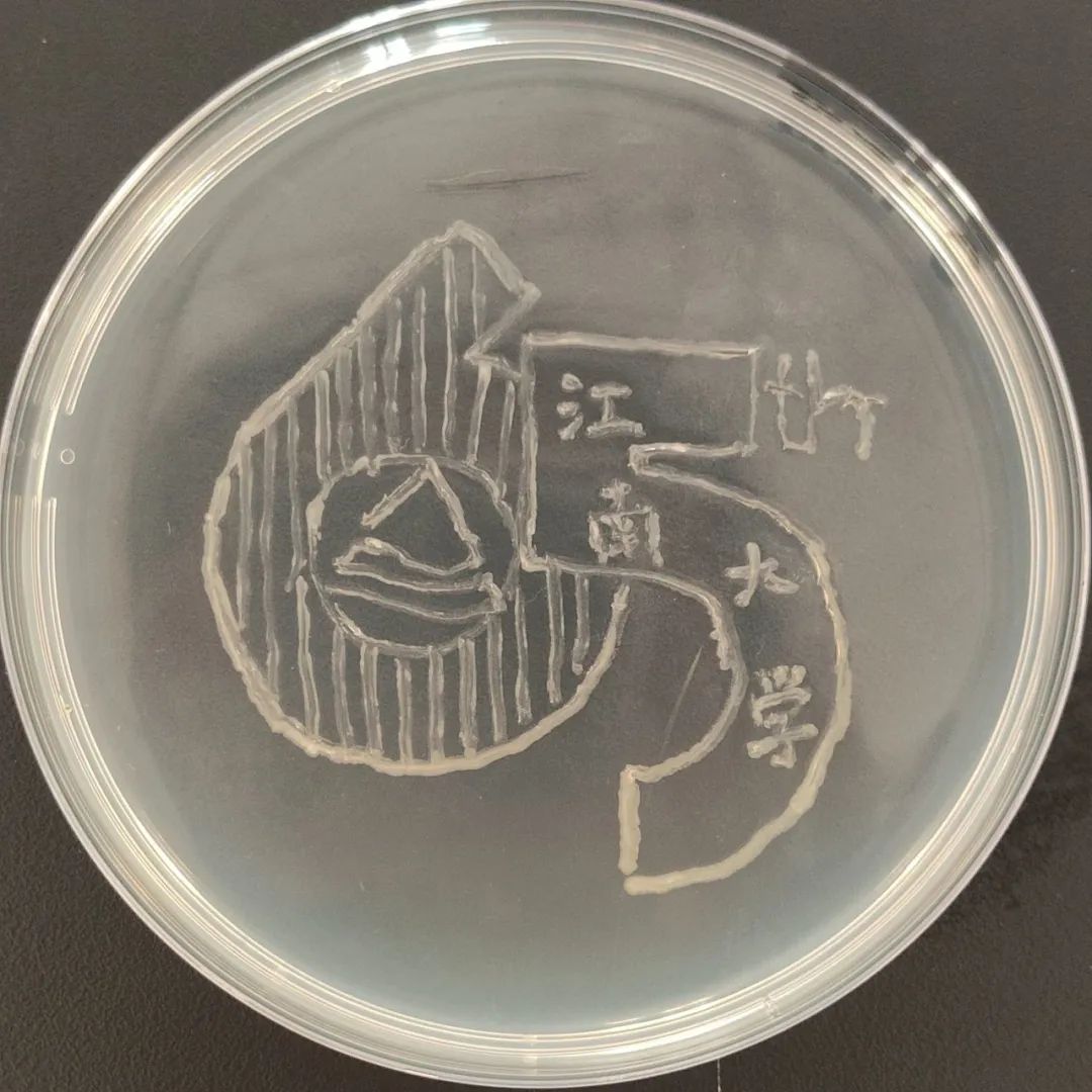 同奮進共築夢江南學子用微生物作畫為母校慶生