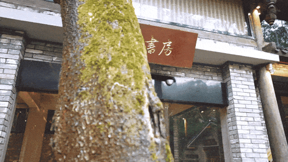 书中日月 |  二十四史书院：梦回千年，风雅璀璨