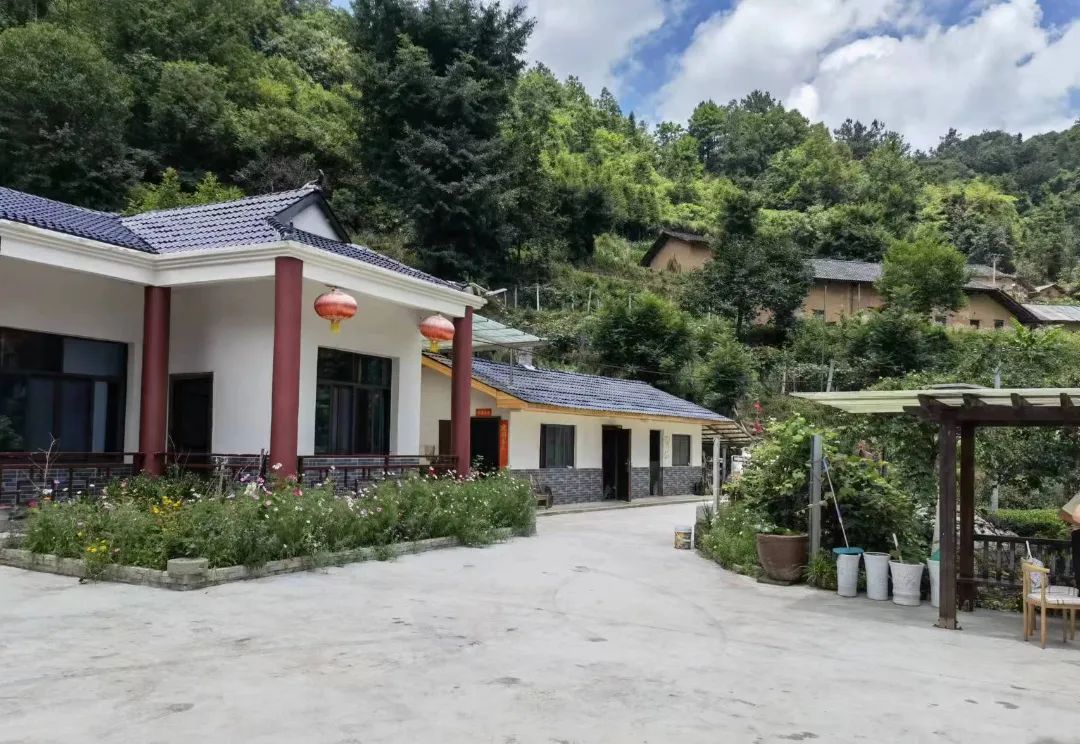 【美丽庭院展播】第一期:雾渡河镇_澎湃号·政务_澎湃新闻-the paper