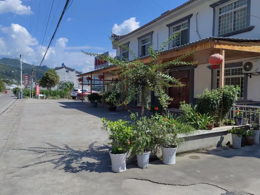 【美丽庭院展播】第一期:雾渡河镇_澎湃号·政务_澎湃新闻-the paper