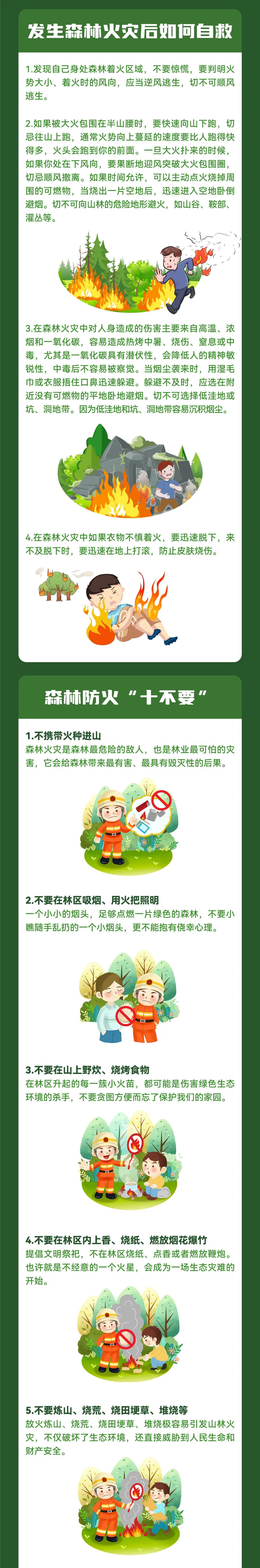 森林防火 人人有责 | 守护绿色家园,做好森林防火,这些安全知识要掌握