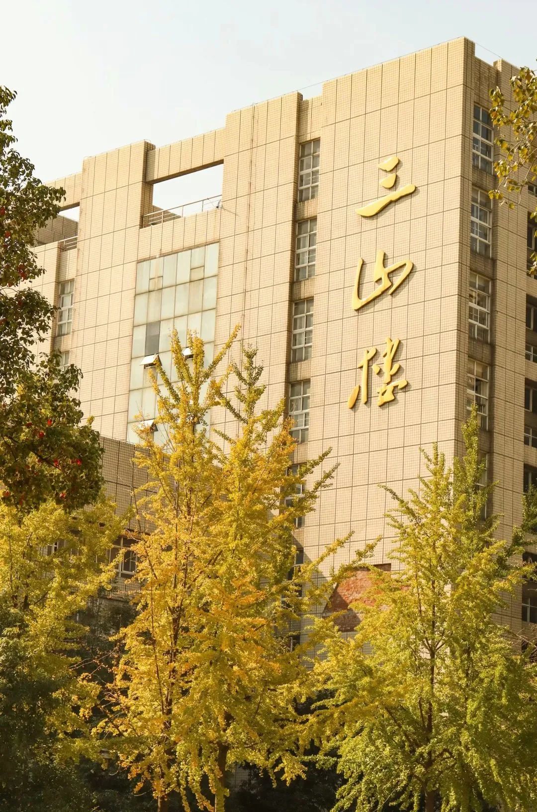 江南大学三山楼图片