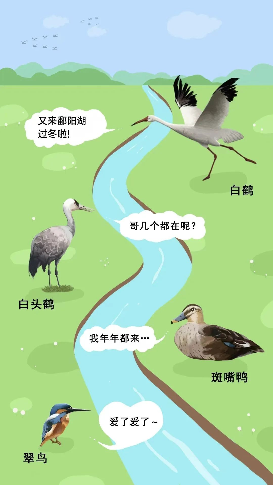 一周内两登《新闻联播》!候鸟南飞只因“怕冷”?_澎湃号·媒体_澎湃新闻-The Paper