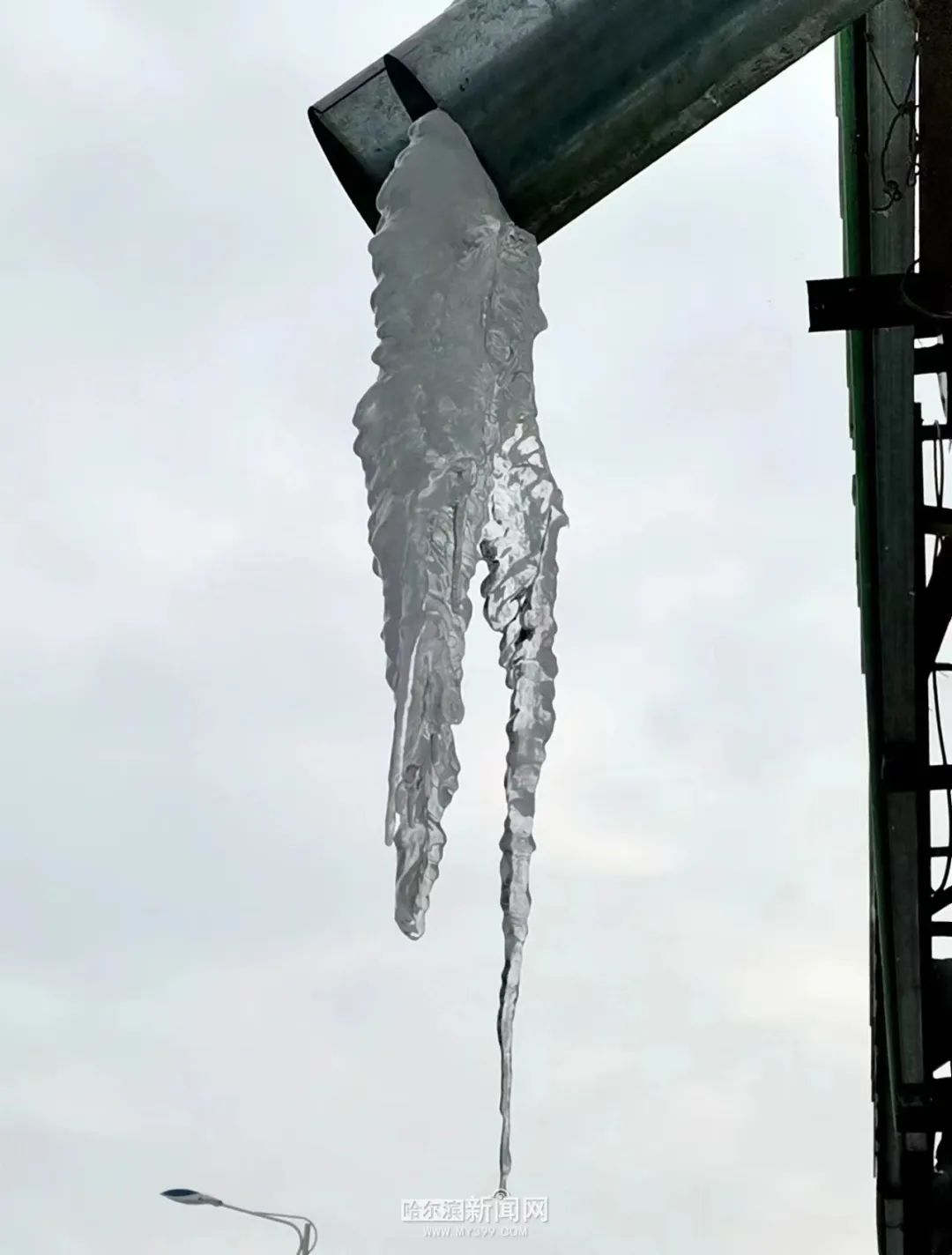 竿敲,入户,发警示……|哈市各物企开始清冰溜,让业主安全出行