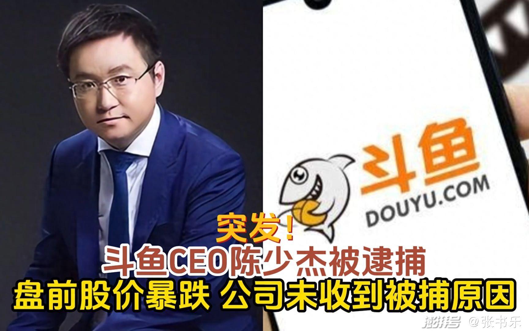 斗鱼：公司CEO陈少杰于11月16日被成都警方逮捕_3DM单机