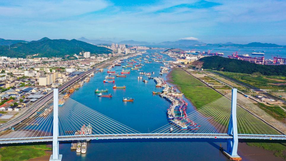 事关每个舟山人!最新行动计划发布→