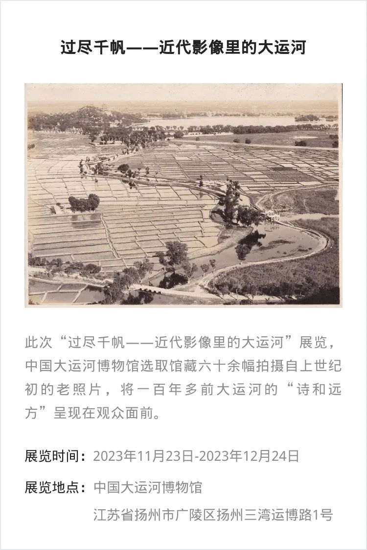 江浙沪 | 11月份有什么好看的展览?_澎湃号·湃客_澎湃新闻-The Paper