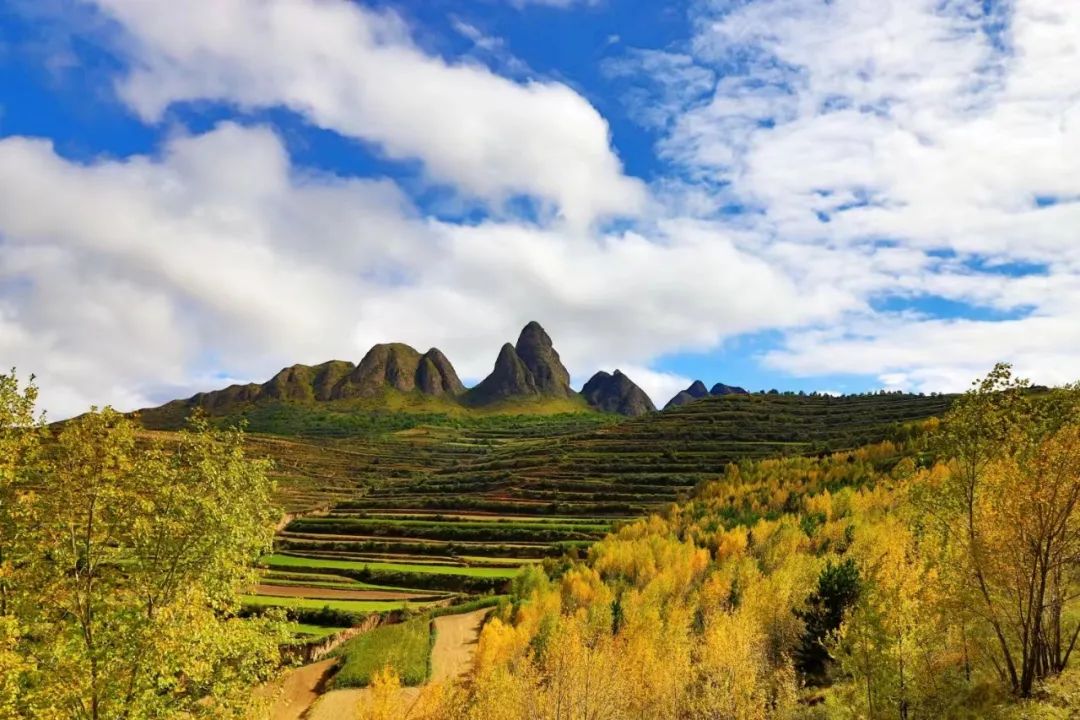 诗人高远礼赞漳县诗选