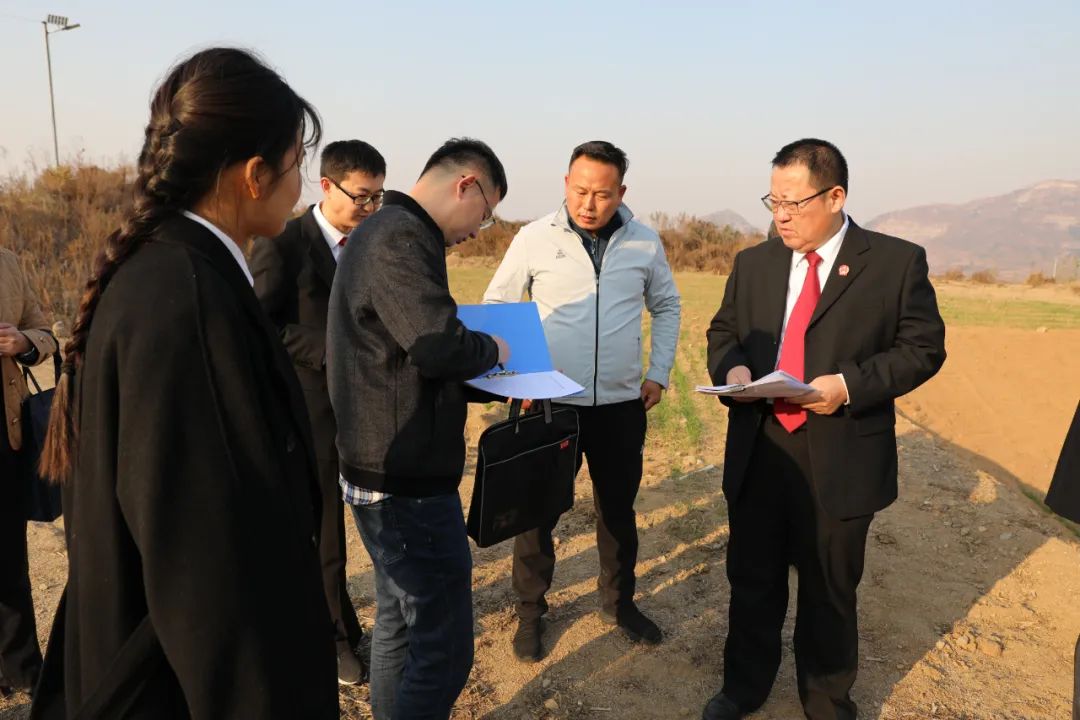 莒南法院组织对两起刑事附带民事公益诉讼被告人自行修复的土地进行