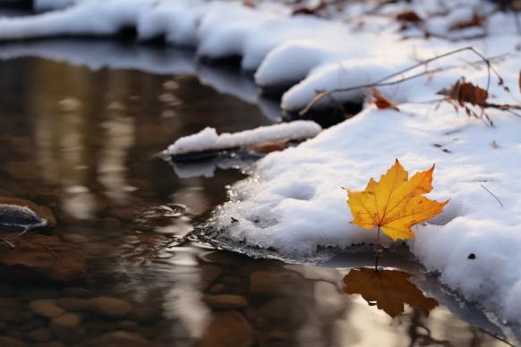 雨雪天气来袭,这些应急知识要了解!_澎湃号·政务_澎湃新闻-The Paper